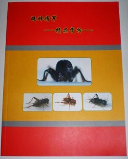 画像1: 蟋蟀将軍(精品賞折)　闘蟋用ツヅレサセコオロギカタログ