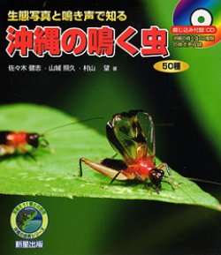 画像1: 沖縄の鳴く虫