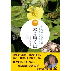 画像: 日本の鳴く虫　2018年8月8日発売（新刊！）
