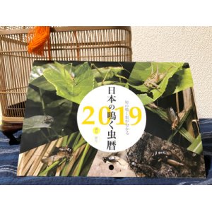 画像: 日本の鳴く虫歴2019（鳴く虫のシーズンが分かるカレンダー）