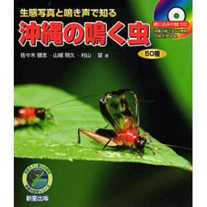 画像: 沖縄の鳴く虫