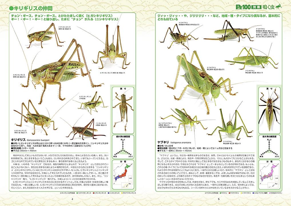 画像: ProFile100別冊鳴く虫(ピーシーズ鳴く虫本)