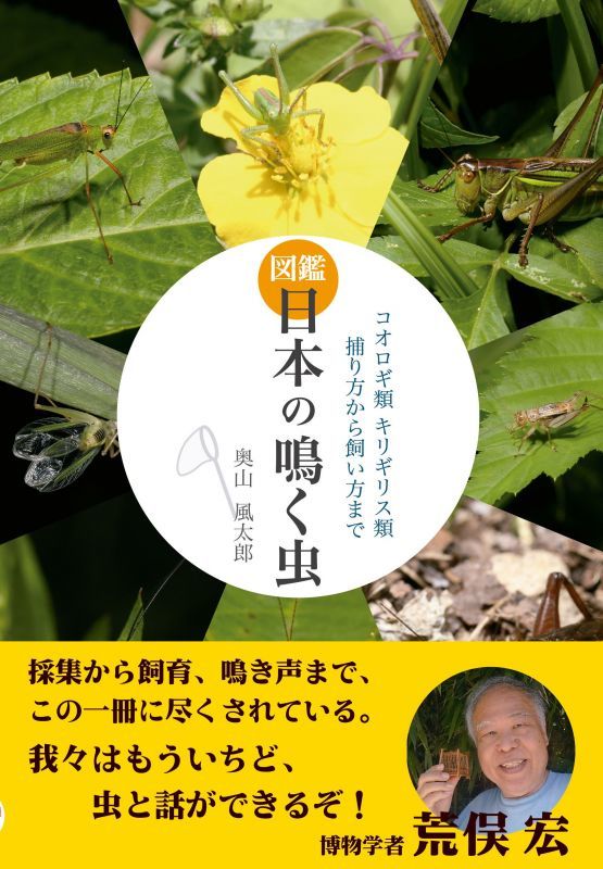 画像1: 日本の鳴く虫　2018年8月8日発売（新刊！）