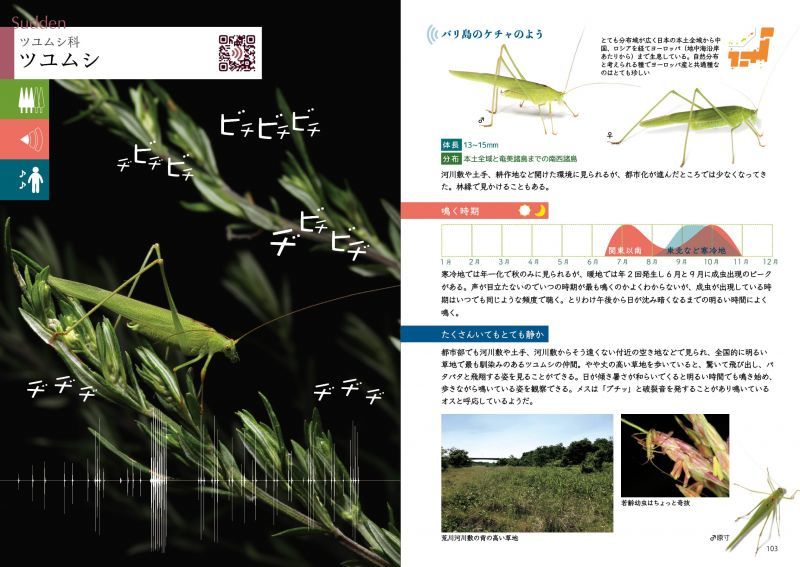 画像: 鳴く虫「音声」図鑑2020年3月6日発売（新刊！）