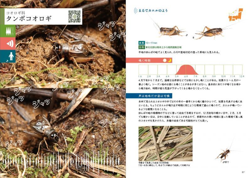 鳴く虫「音声」図鑑2020年3月6日発売（新刊！） - 鳴く虫処 AkiMushi