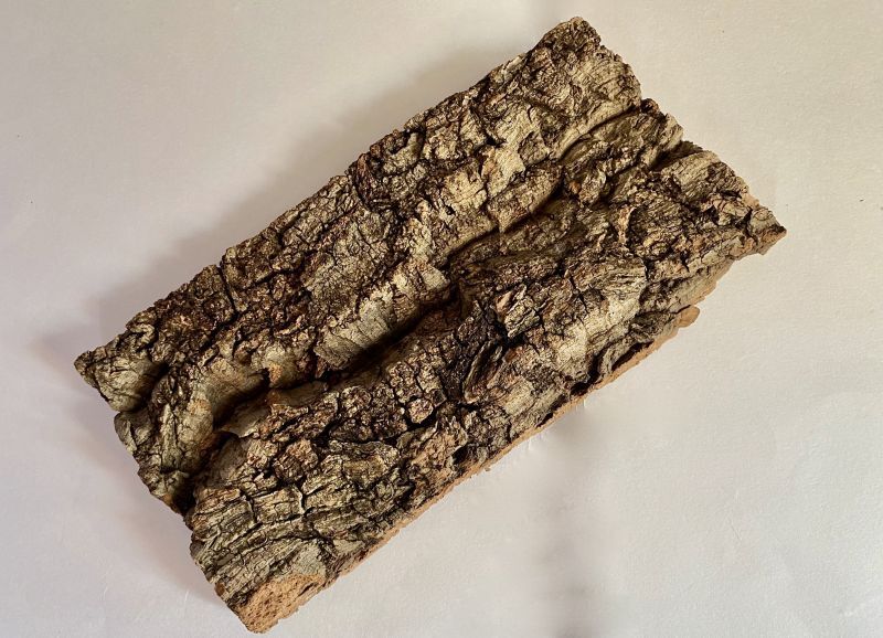 画像1: アベマキのコルク質樹皮　約20cm×10cm