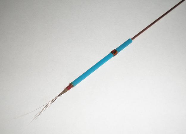 画像1: 茜草 野生のクマネズミの葦毛製