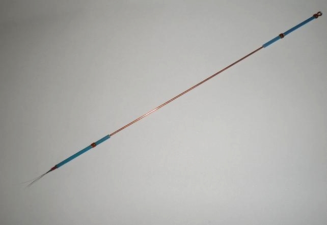 画像: 茜草 野生のクマネズミの葦毛製