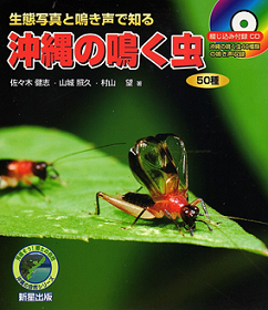 沖縄の鳴く虫 - 鳴く虫処 AkiMushi